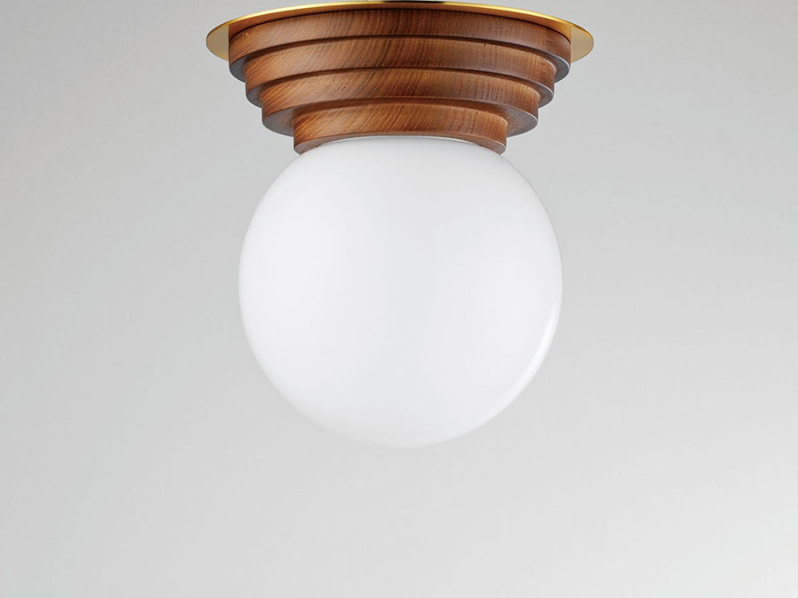 Ceiling Light