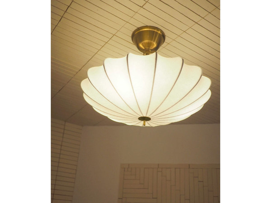 Ceiling Light