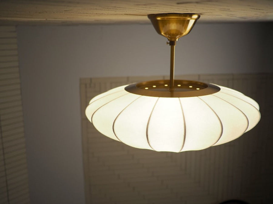 Ceiling Light