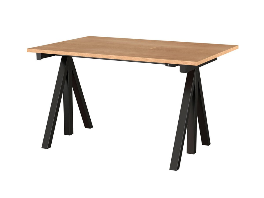 Works Sit-stand Desk / Electrical