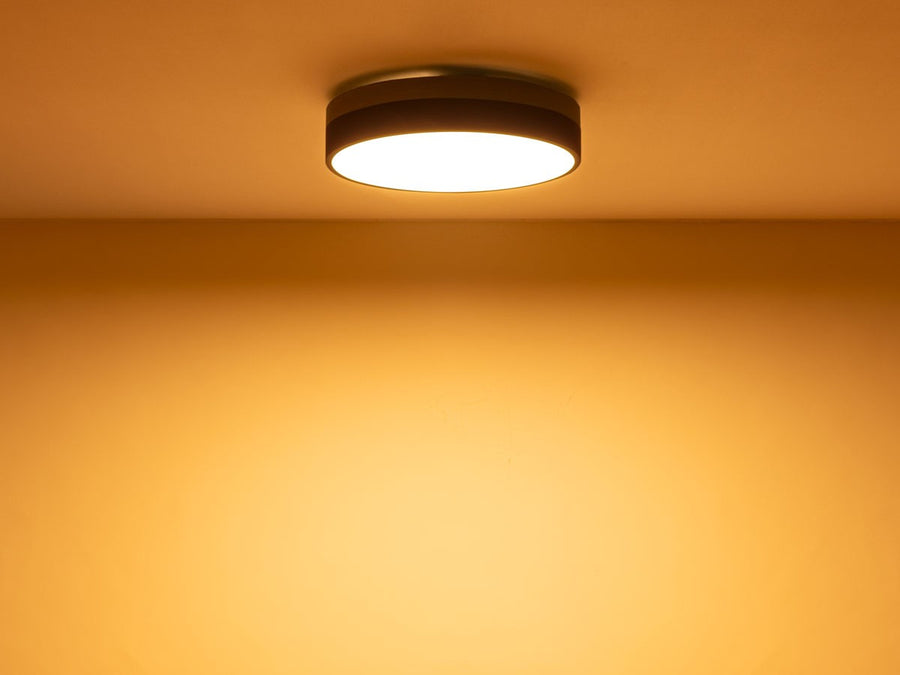 CEILING LIGHT