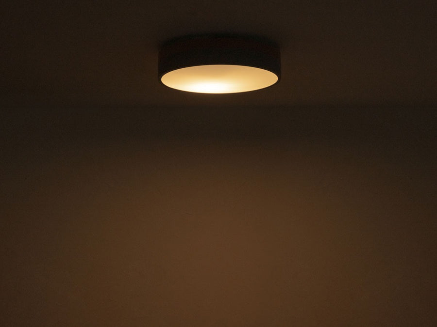 CEILING LIGHT