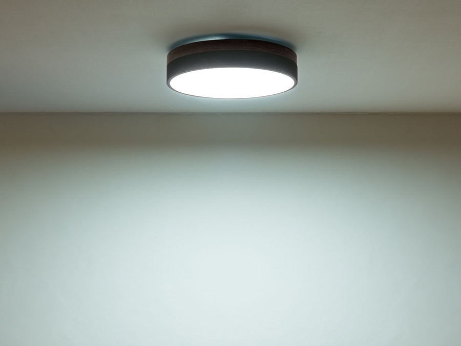 CEILING LIGHT