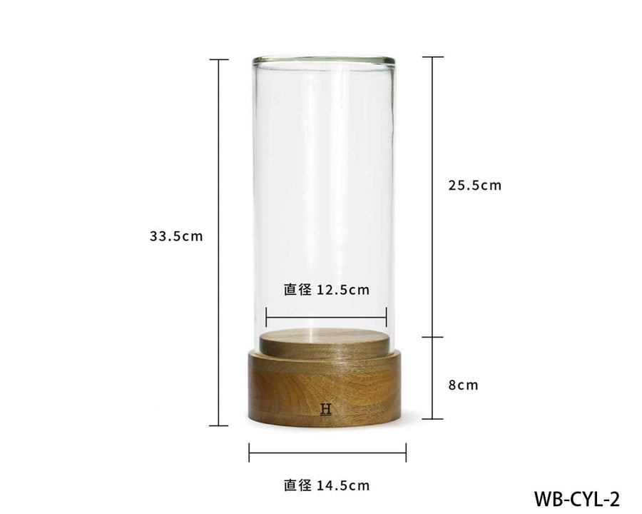 Glass Dome Cylinder ガラスドーム シリンダー WB-CYL-2