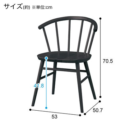 ダイニングチェア（Nコレクション C-53 BK）