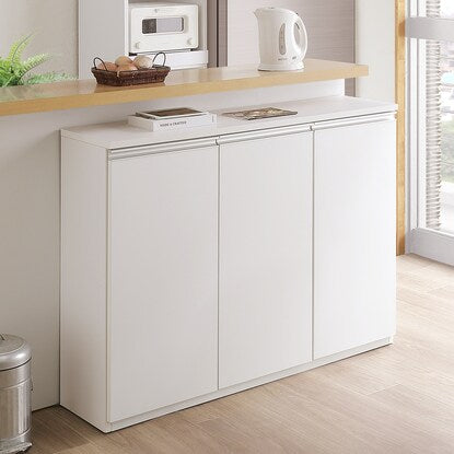 Slim cabinet door type (width 119.5 cm)