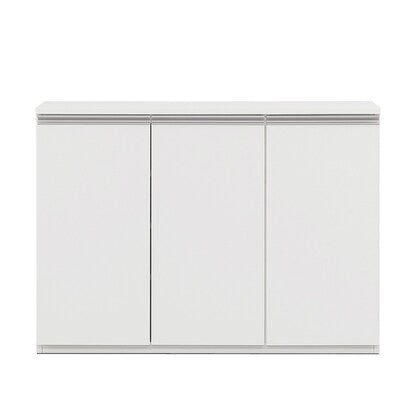 Slim cabinet door type (width 119.5 cm)