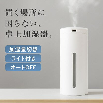 Desk humidifier with USB light (DM06WH)