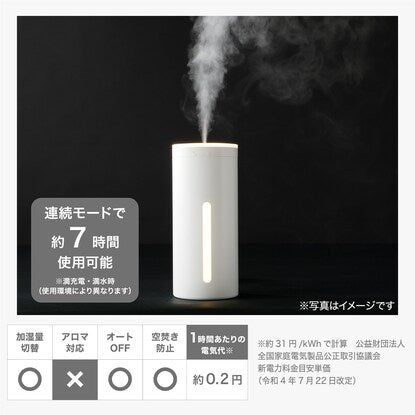 Desk humidifier with USB light (DM06WH)