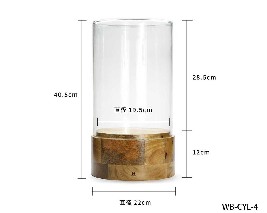 Glass Dome Cylinder ガラスドーム シリンダー WB-CYL-4