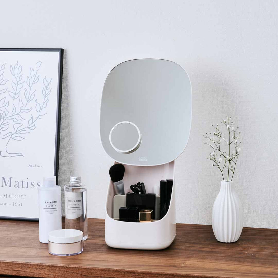 Cosmetic organizer with mirror