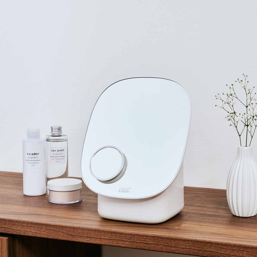 Cosmetic organizer with mirror