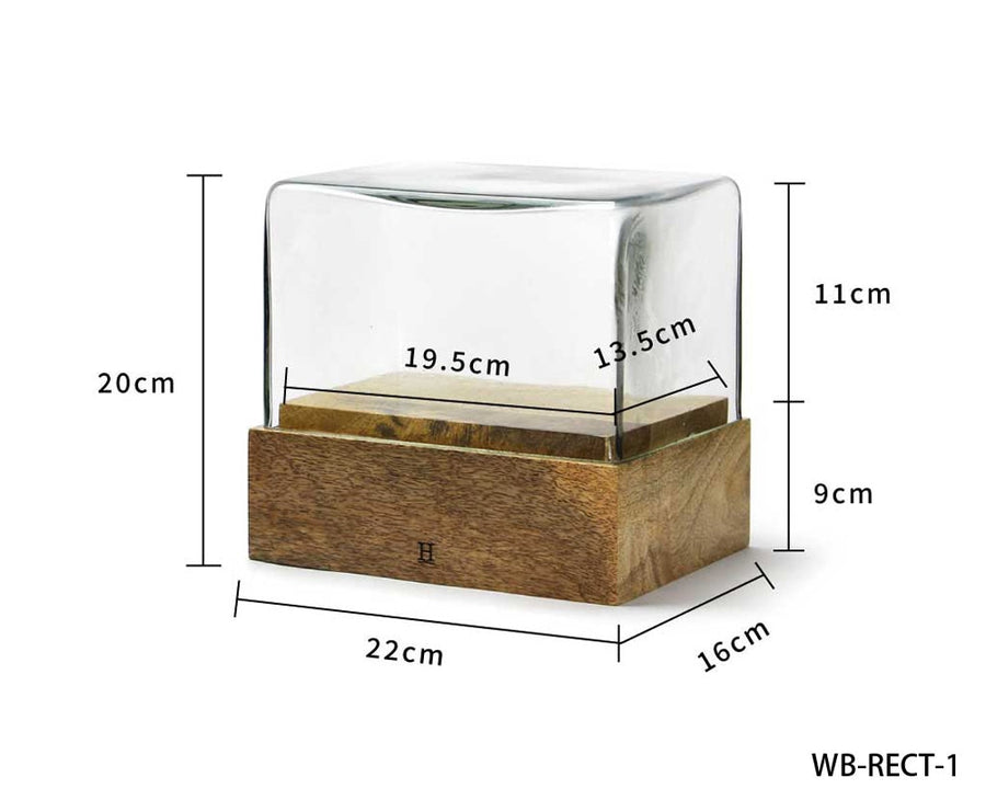 Glass Dome Rectangle WB-RECT-1