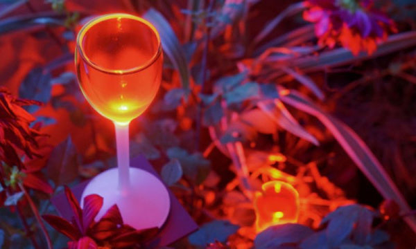 SAMBA - M サンバM