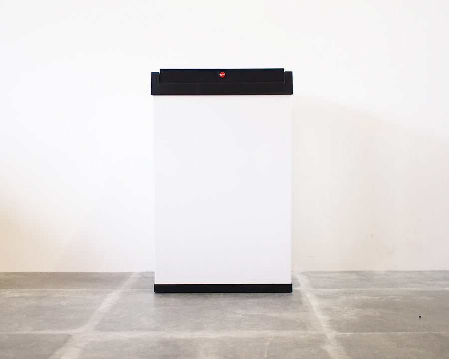 Big-Box Swing 40L Hi-Lo Big Box Dustbin