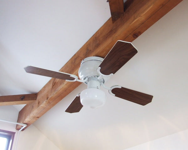 LAGUNA Ceiling Fan ラグナシーリングファン