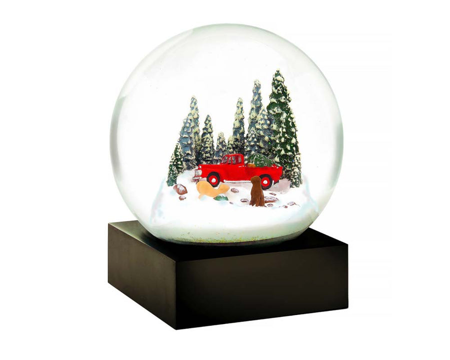 Snow Dome Red Truck with Dog クールスノーグローブス