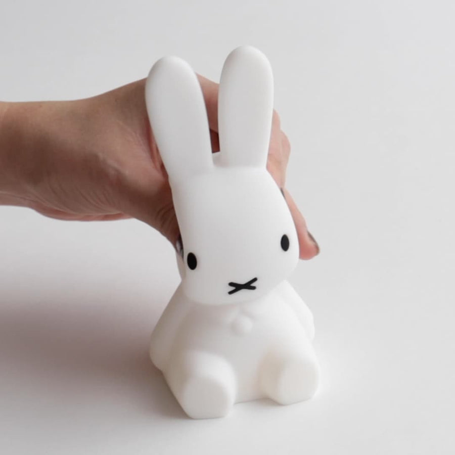 Bundle of Light Miffy