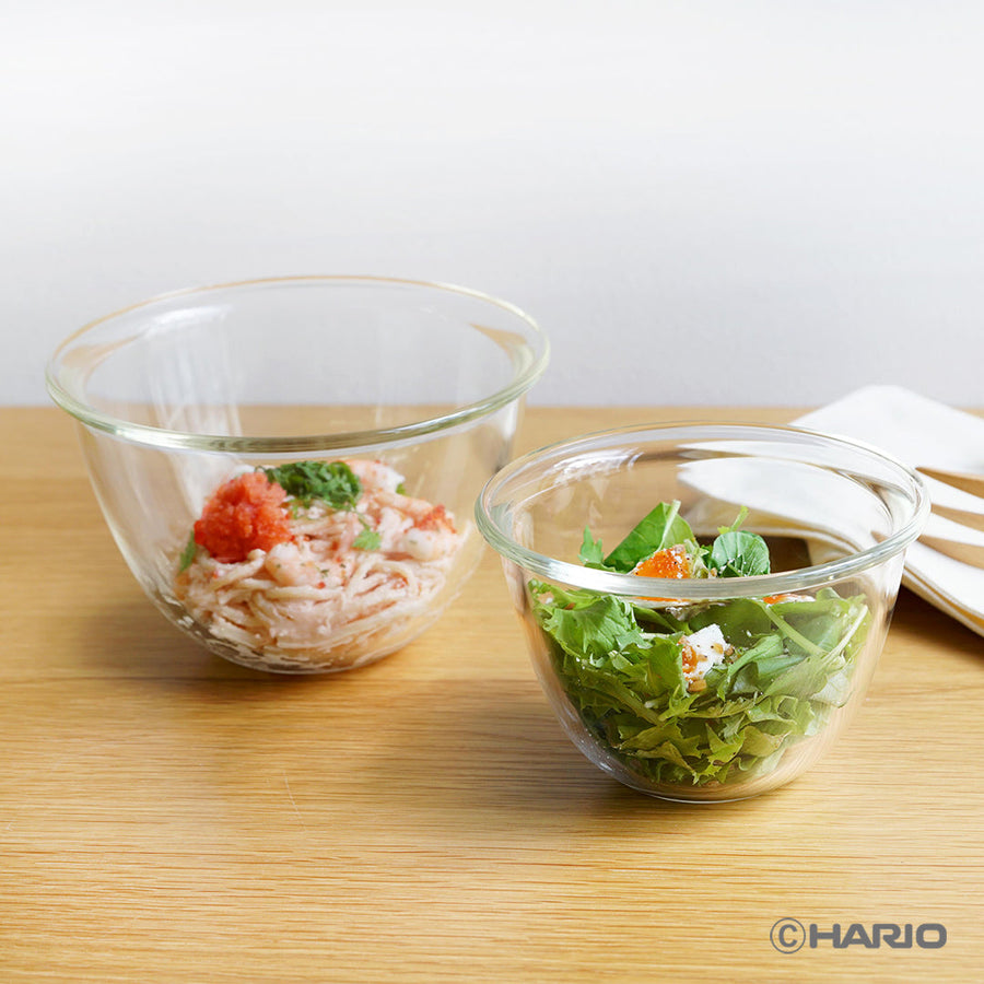 Set of 2 heat-resistant glass bowls