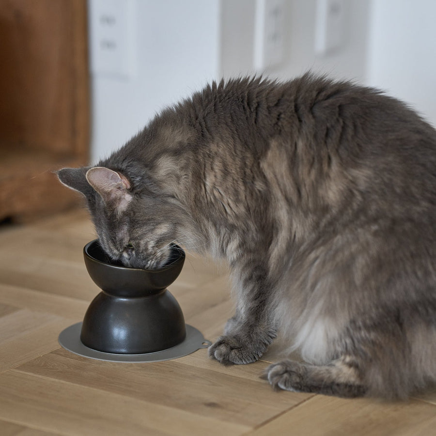 INK Ceramic Food Bowl, Tall