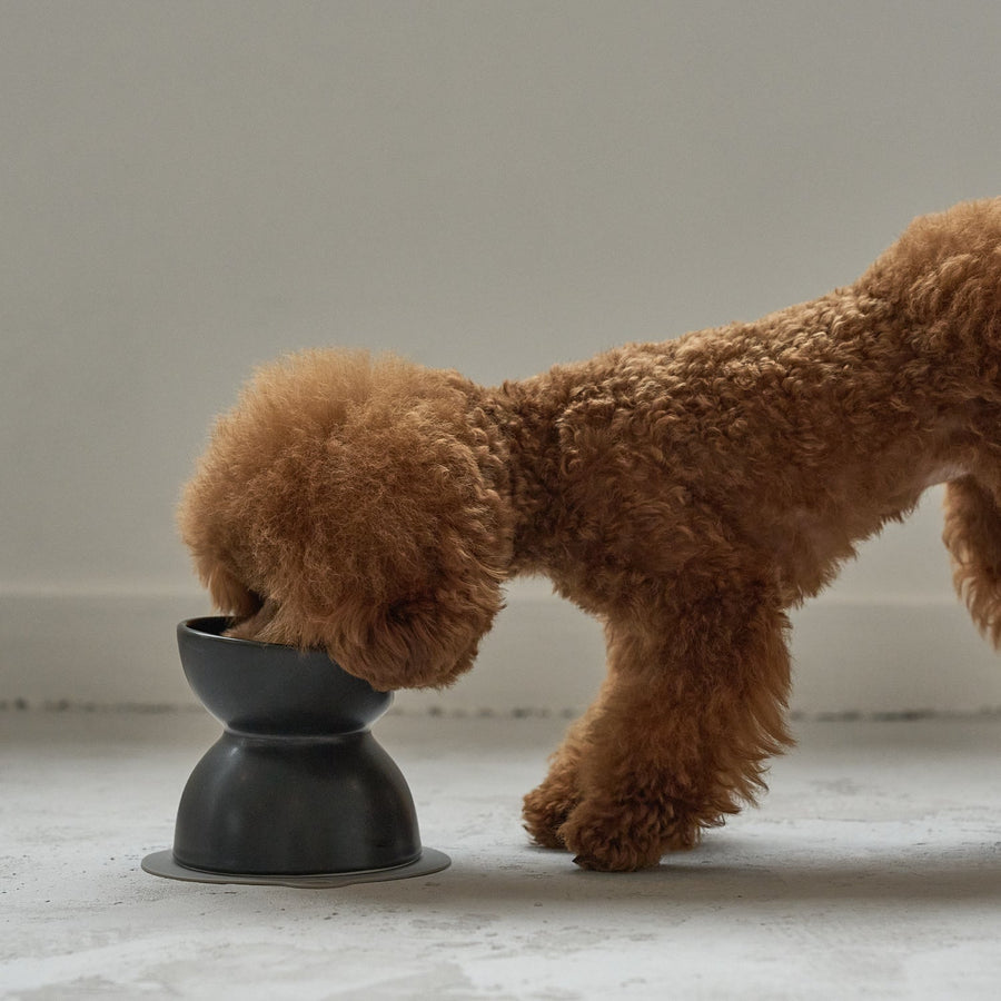 INK Ceramic Food Bowl, Tall