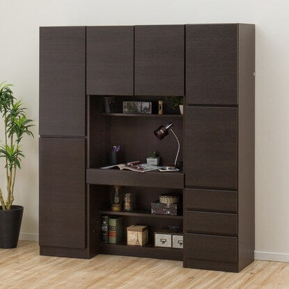 Wall unit cabinet (Warren 40-2D DBR)