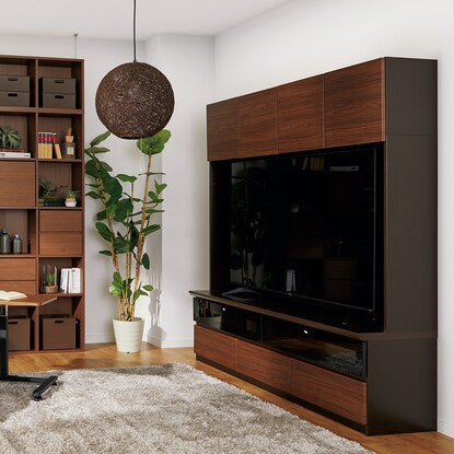 TV stand (Schremm 2 180MBR wooden door)