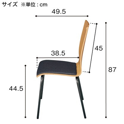 Steel leg chair (N Abyss CIBK GTB LBR-BK12)