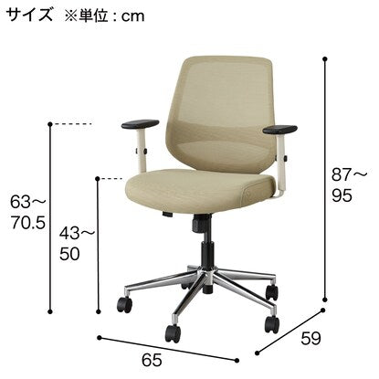 Office chair (CSD60TW AN10H GY)