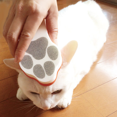 Pet Brush Glutte Soft Orange
