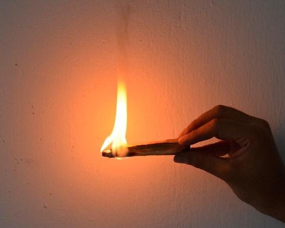 PALO SANTO Palo Santo Fragrant Wood