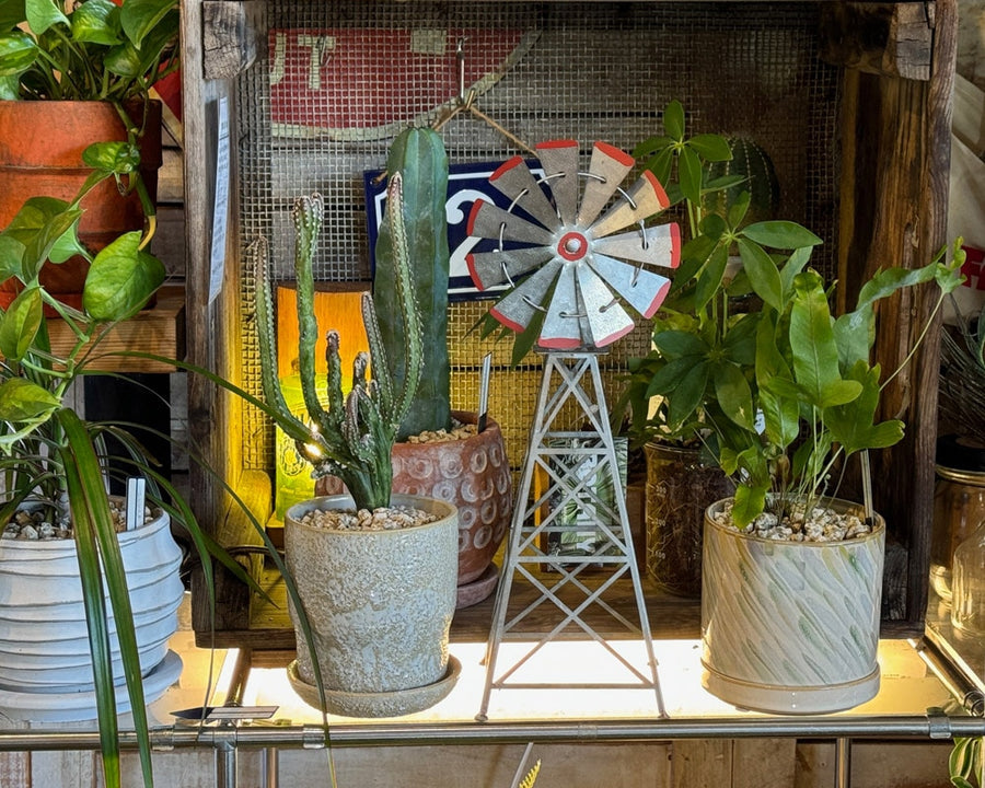 LITTLE WINDMILL Little Windmill