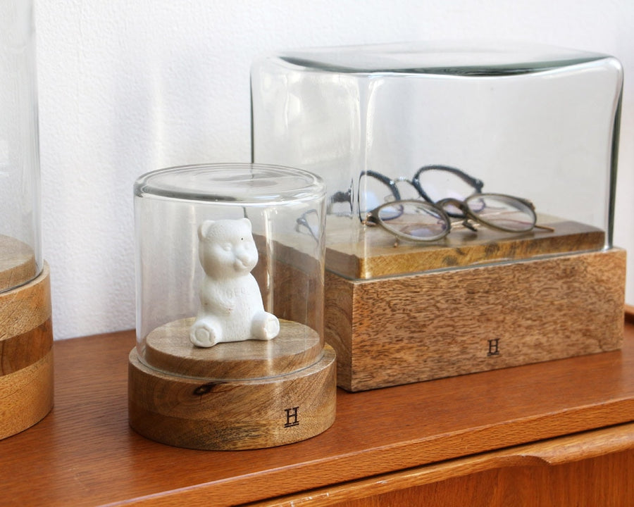 Glass Dome Cylinder ガラスドーム シリンダー WB-CYL-1
