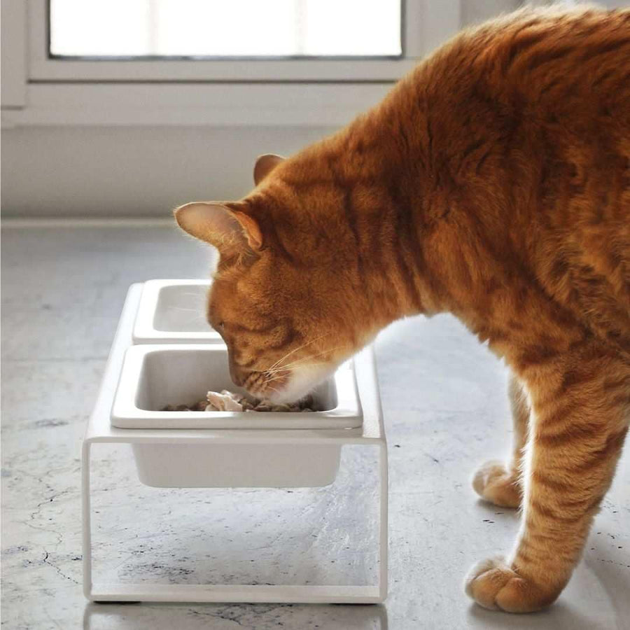 Tower Pet Food Bowl Set, Tall