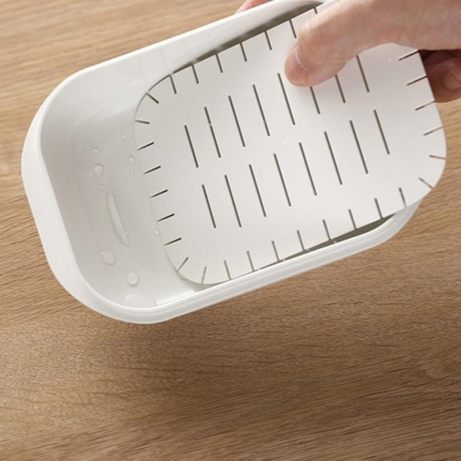 極 冷凍ごはん容器 大