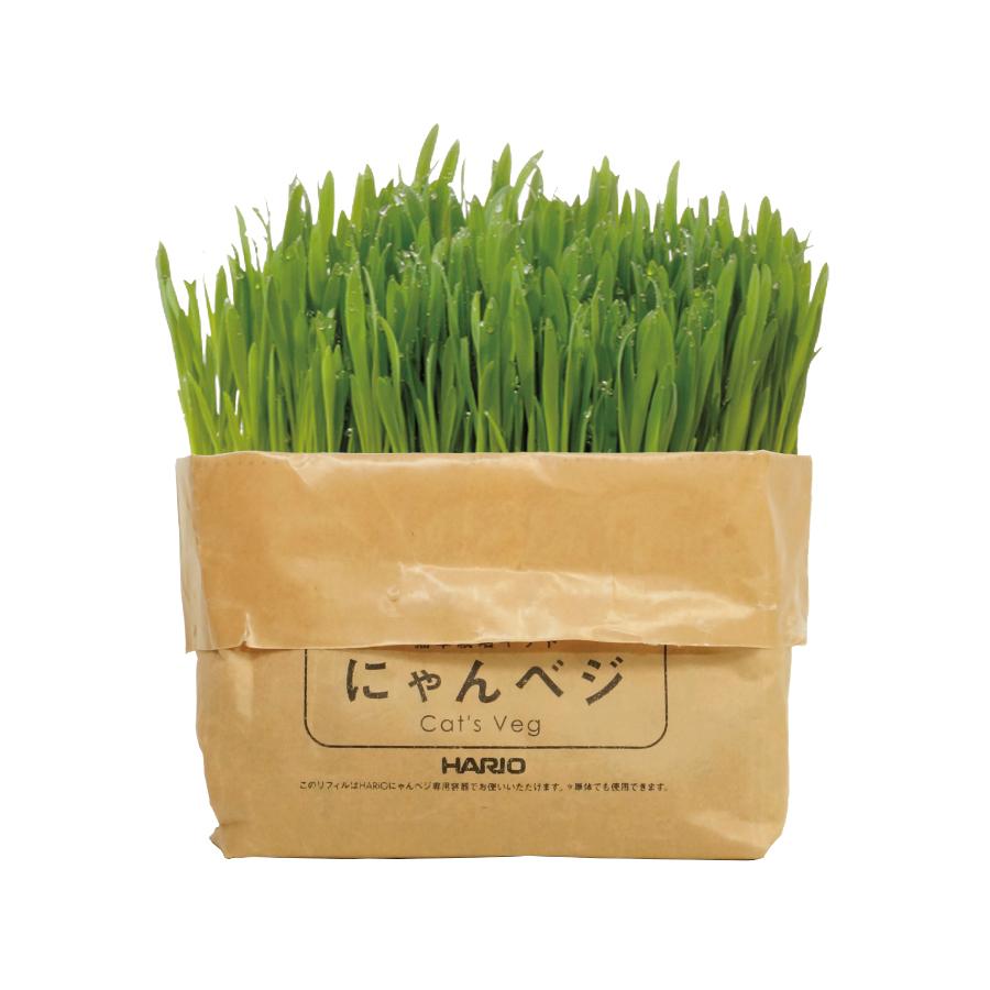 Cat Grass Cultivation Kit Nyan Veg Refill 2 Packs