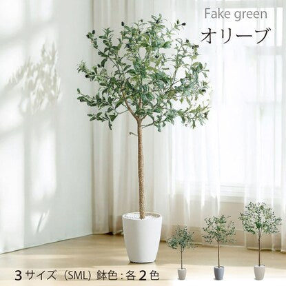 Fake Green (Olive 120cm Ivory)