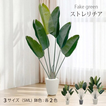 Fake Green (Stretchilia 120cm Ivory)