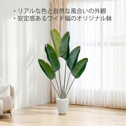 Fake Green (Stretchilia 120cm Ivory)