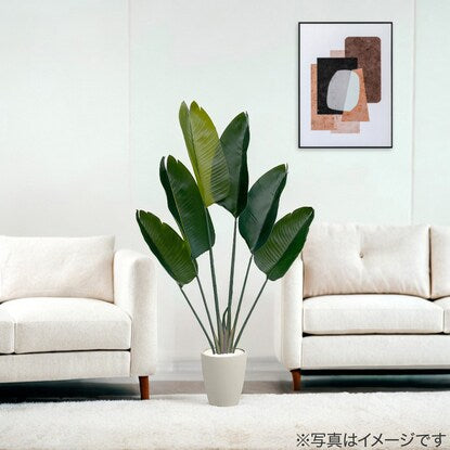 Fake Green (Stretchilia 120cm Ivory)