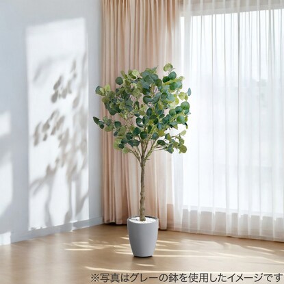 Fake greenery (eucalyptus 120cm ivory)