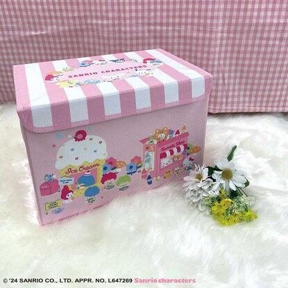 Fancy Shop Storage Box