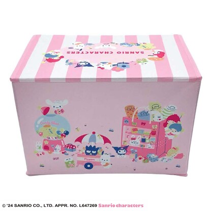Fancy Shop Storage Box