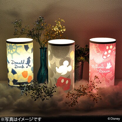 Desk lamp (Minnie motif)