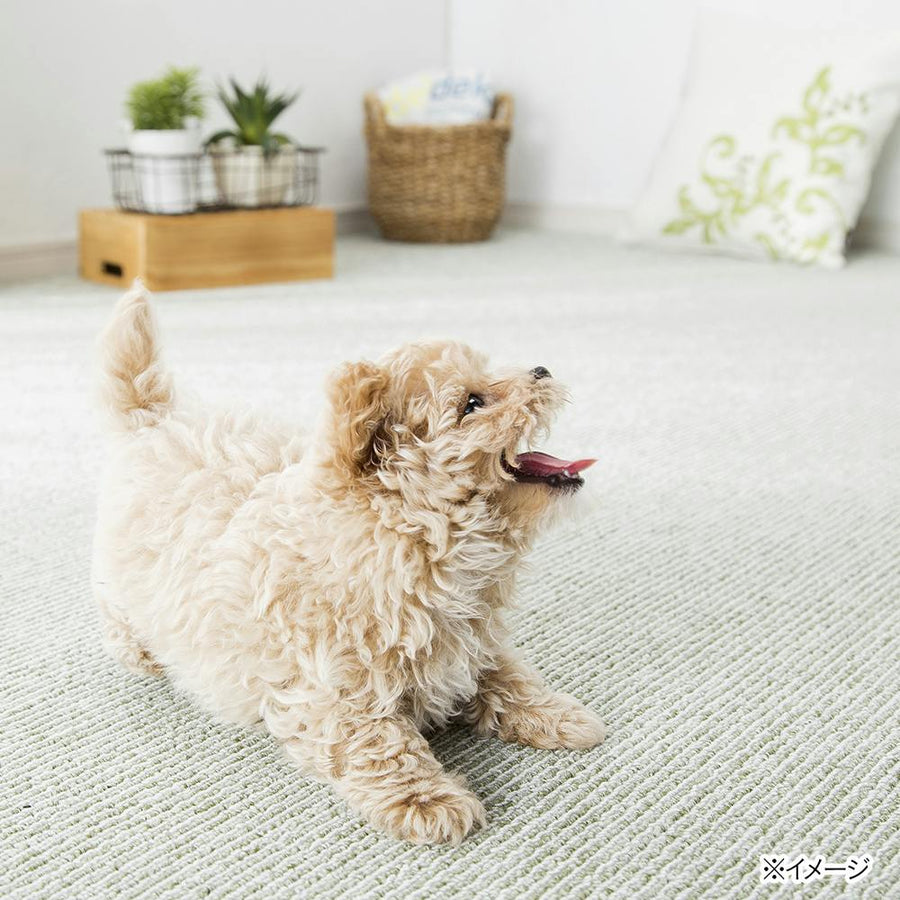 A green carpet for spending time comfortably with pets (2 tatami mats)