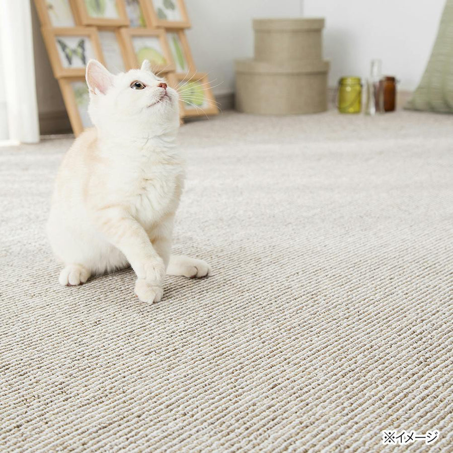 A beige carpet for a comfortable stay with your pet, 6 tatami mats