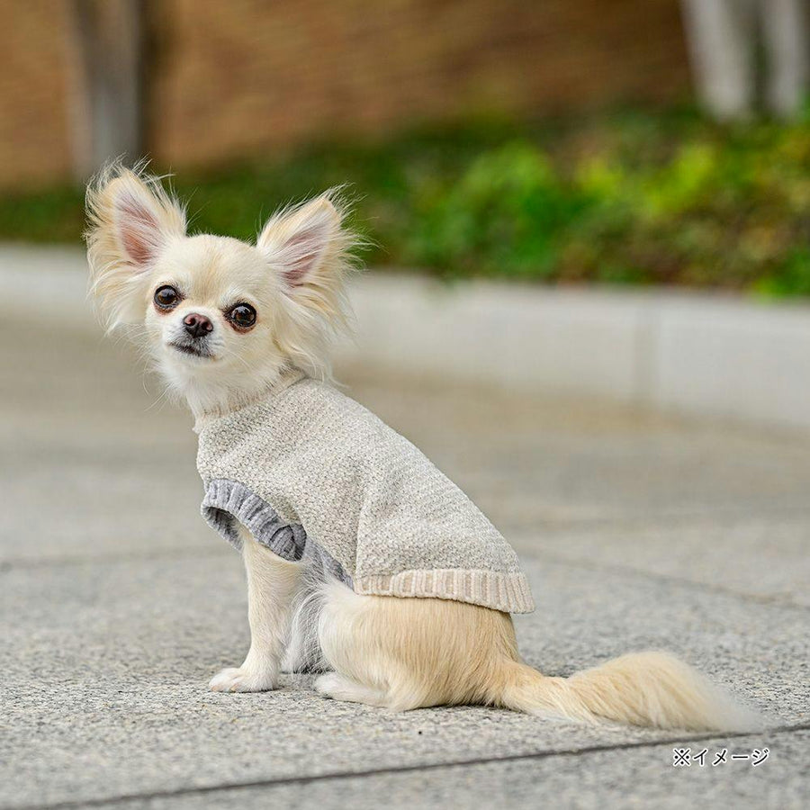 反射モールニット アイボリー Sサイズ ペット服(犬の服)