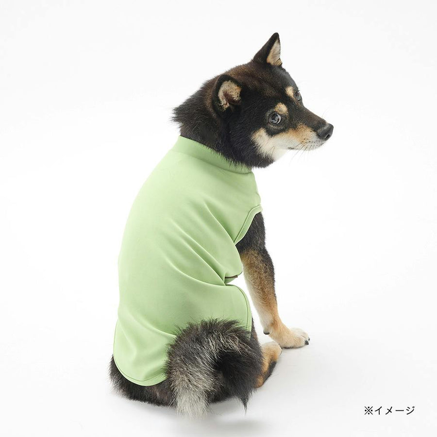 Smooth cut and sew, green, MD size, pet clothes (dog clothes)