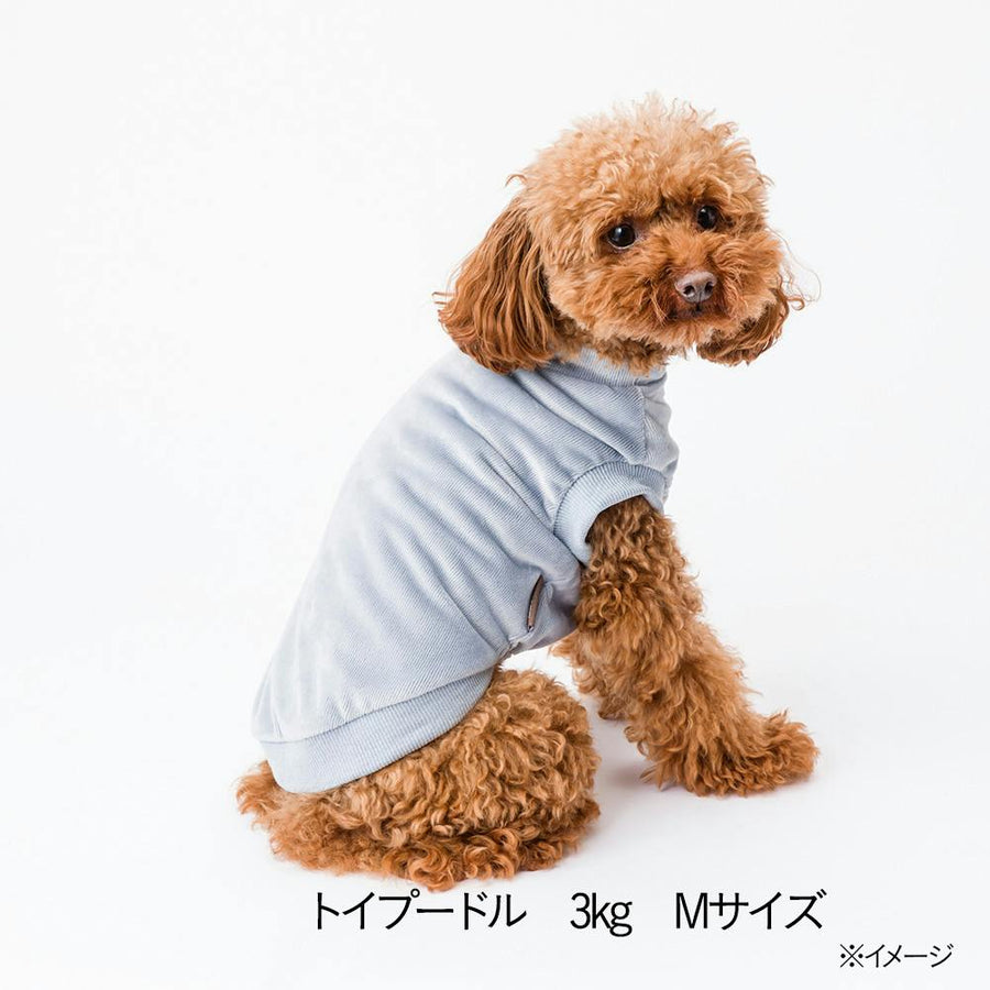 Corduroy cut and sew, ash blue, size M, pet clothes (dog clothes)