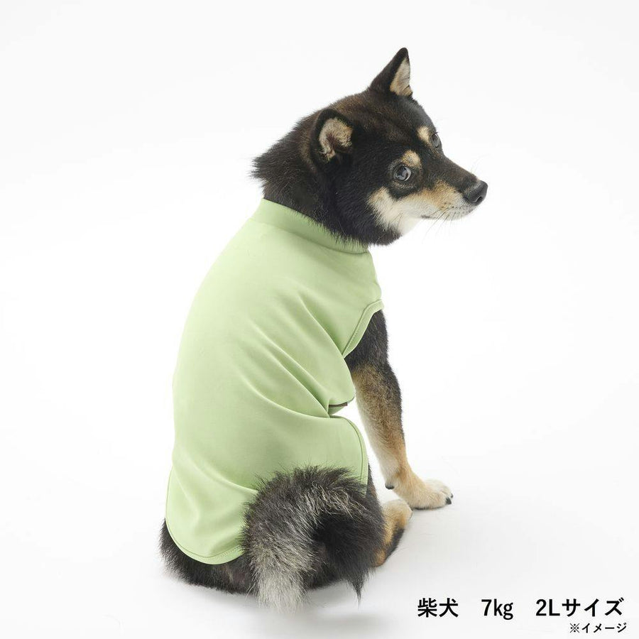 スムースカットソー グリーン 3Lサイズ ペット服(犬の服)